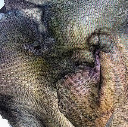 Interrupted 3D scan by artist Paul Coombs